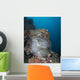 Anemone Kiyosumi Maru Shipwreck Wall Decal