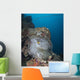 Anemone Kiyosumi Maru Shipwreck Wall Decal