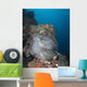 Anemone Kiyosumi Maru Shipwreck Wall Decal