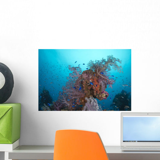 Coral Growth Hanakawa Maru Wall Decal