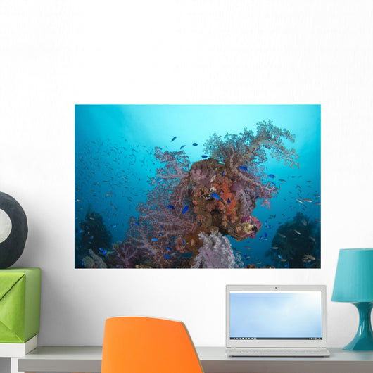 Coral Growth Hanakawa Maru Wall Decal