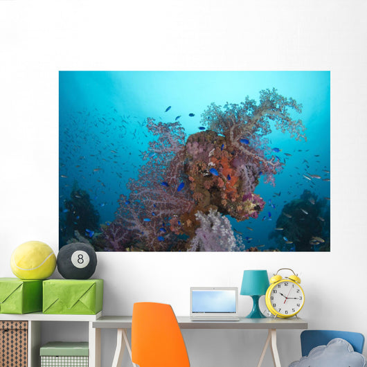 Coral Growth Hanakawa Maru Wall Decal