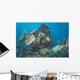 Engine Betty Bomber Airplane Wall Decal