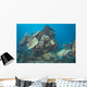 Engine Betty Bomber Airplane Wall Decal