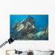 Engine Betty Bomber Airplane Wall Decal