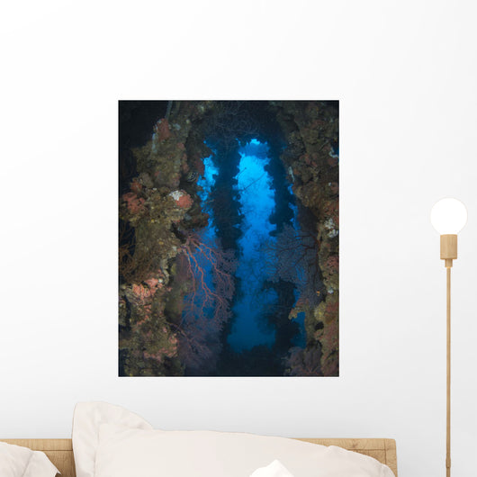 Coral Growth Yamagiri Maru Wall Decal