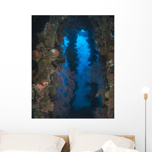 Coral Growth Yamagiri Maru Wall Decal