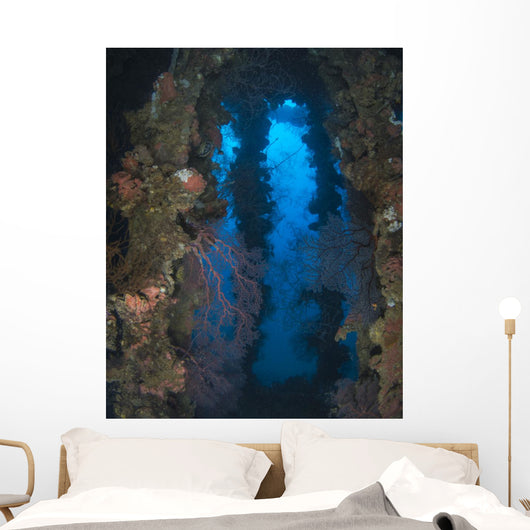 Coral Growth Yamagiri Maru Wall Decal
