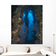Coral Growth Yamagiri Maru Wall Decal