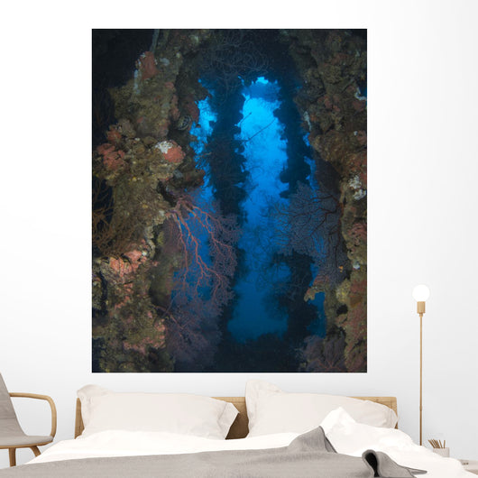 Coral Growth Yamagiri Maru Wall Decal