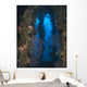 Coral Growth Yamagiri Maru Wall Decal