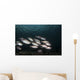 Soldierfish Maldives Wall Decal
