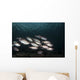 Soldierfish Maldives Wall Decal