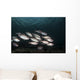 Soldierfish Maldives Wall Decal