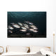 Soldierfish Maldives Wall Decal