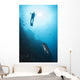 Diver and Trevally Komodo Wall Decal