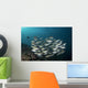 School Fish Maldives Wall Decal