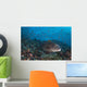 Sweetlips Komodo National Park Landscape Wall Decal