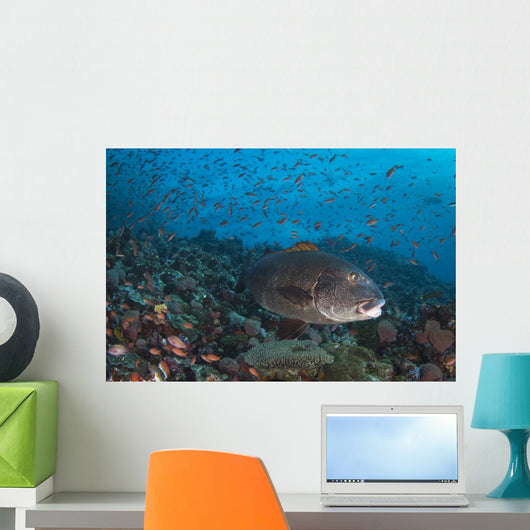 Sweetlips Komodo National Park Landscape Wall Decal