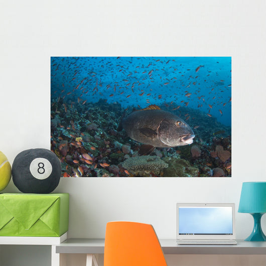 Sweetlips Komodo National Park Landscape Wall Decal