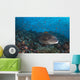 Sweetlips Komodo National Park Landscape Wall Decal