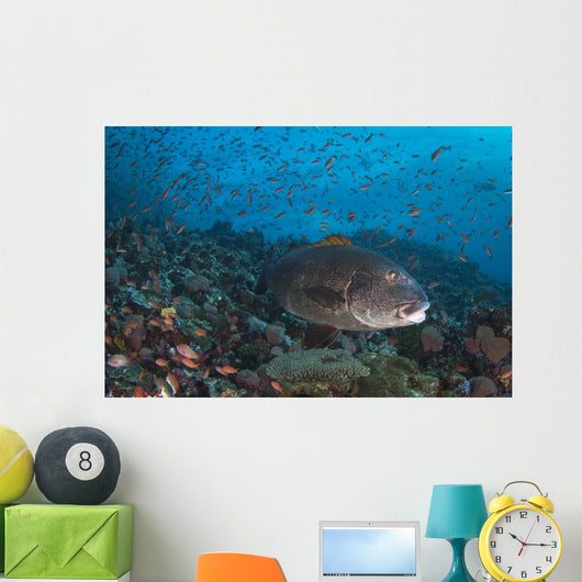 Sweetlips Komodo National Park Landscape Wall Decal
