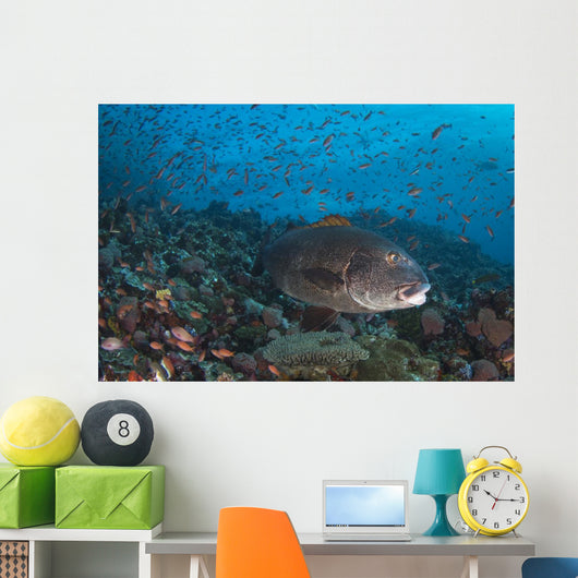 Sweetlips Komodo National Park Landscape Wall Decal