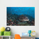 Sweetlips Komodo National Park Landscape Wall Decal