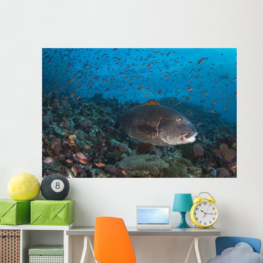Sweetlips Komodo National Park Landscape Wall Decal