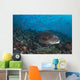 Sweetlips Komodo National Park Landscape Wall Decal