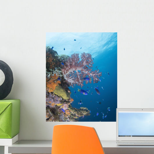 Soft Coral Growth Wreck Wall Decal