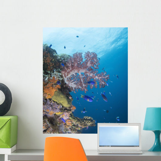 Soft Coral Growth Wreck Wall Decal