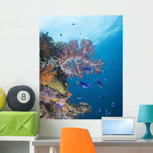 Soft Coral Growth Wreck Wall Decal