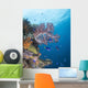 Soft Coral Growth Wreck Wall Decal