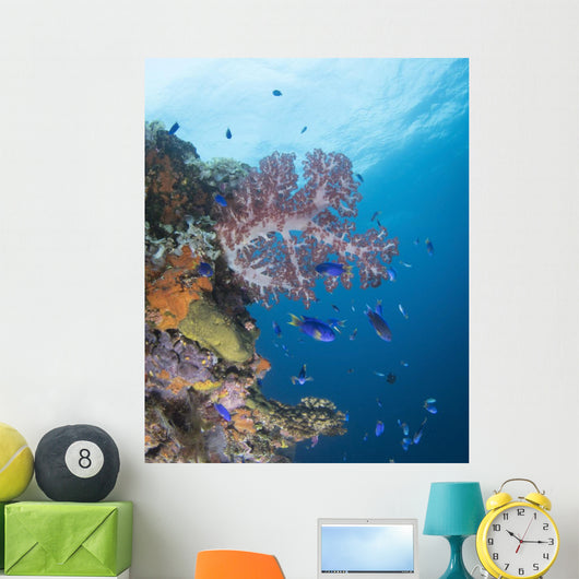 Soft Coral Growth Wreck Wall Decal