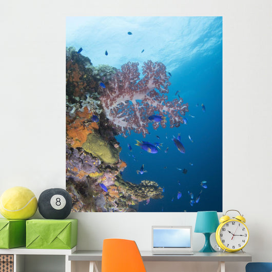 Soft Coral Growth Wreck Wall Decal