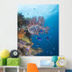 Soft Coral Growth Wreck Wall Decal