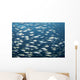 School Fish Truk Lagoon Wall Decal