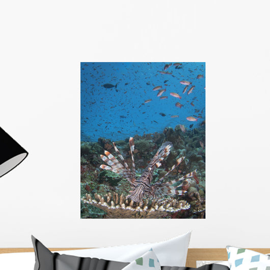 Lionfish Reef Komodo National Wall Decal