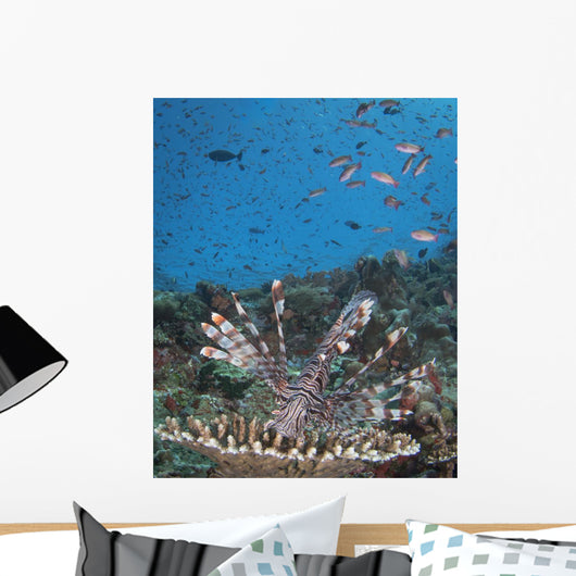 Lionfish Reef Komodo National Wall Decal