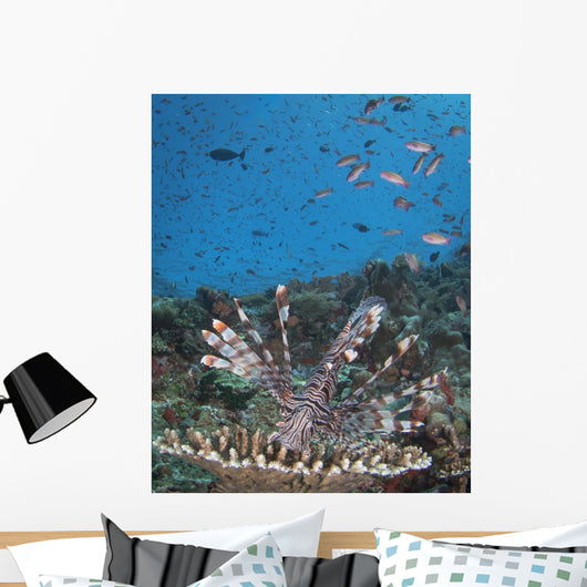 Lionfish Reef Komodo National Wall Decal