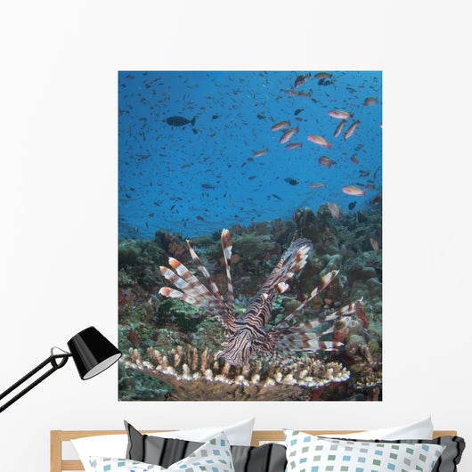 Lionfish Reef Komodo National Wall Decal