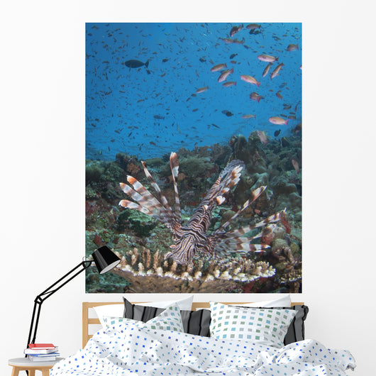 Lionfish Reef Komodo National Wall Decal