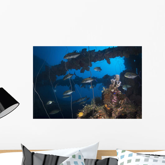 Trevally Seiko Maru Shipwreck Wall Decal