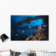 Trevally Seiko Maru Shipwreck Wall Decal