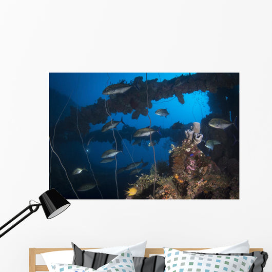 Trevally Seiko Maru Shipwreck Wall Decal