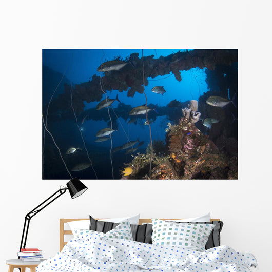 Trevally Seiko Maru Shipwreck Wall Decal