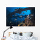 Trevally Seiko Maru Shipwreck Wall Decal