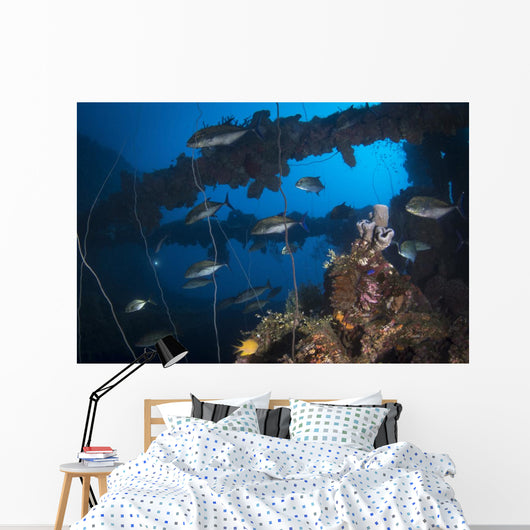 Trevally Seiko Maru Shipwreck Wall Decal