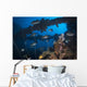 Trevally Seiko Maru Shipwreck Wall Decal